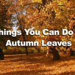 10 Things You Can Do With Autumn