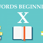 12 words beginning with x used in sentences