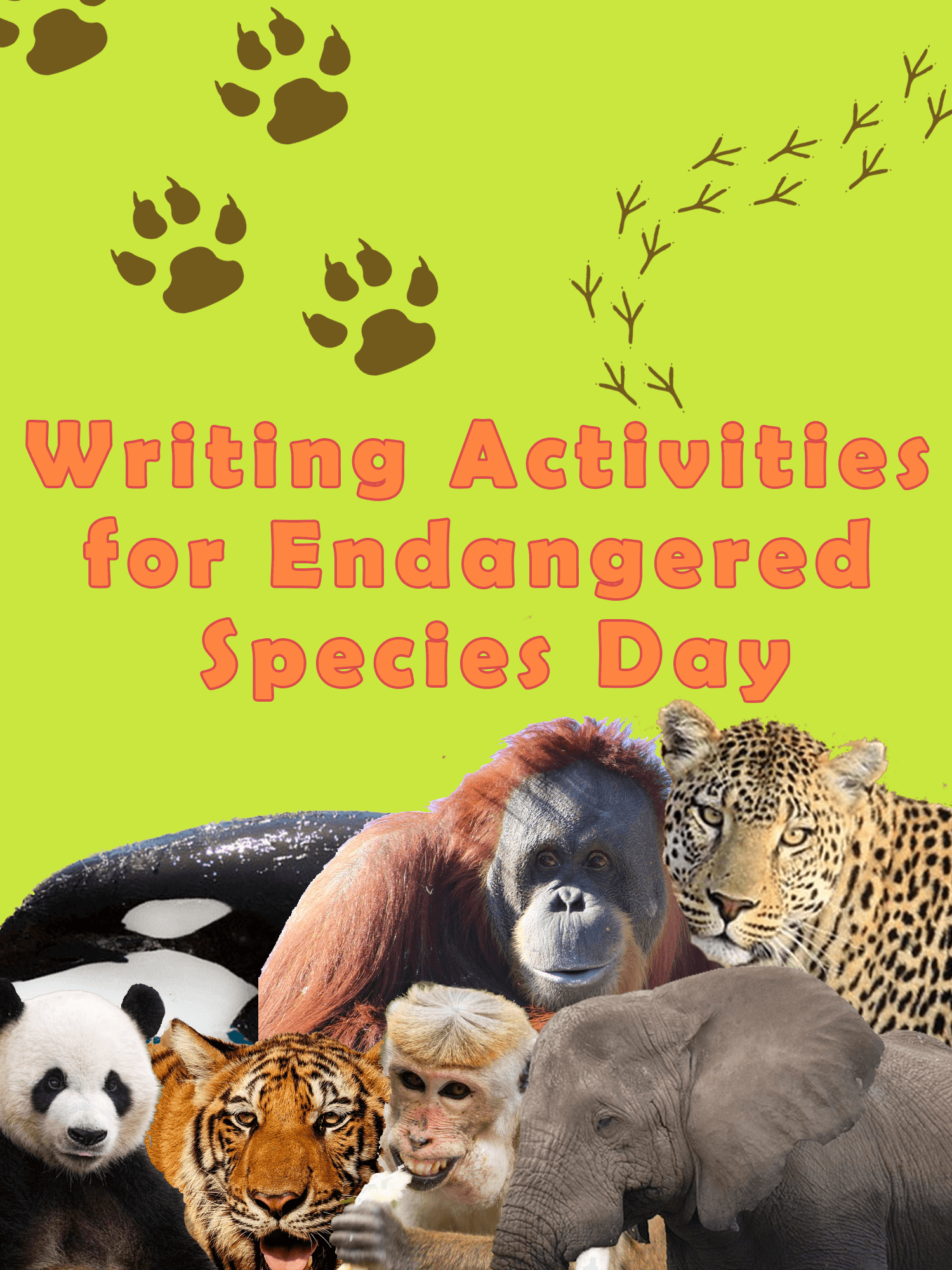 6 Writing Activities for Endangered Species Day | Imagine Forest