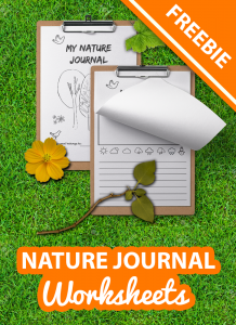 nature journal freebie for kids by imagine forest