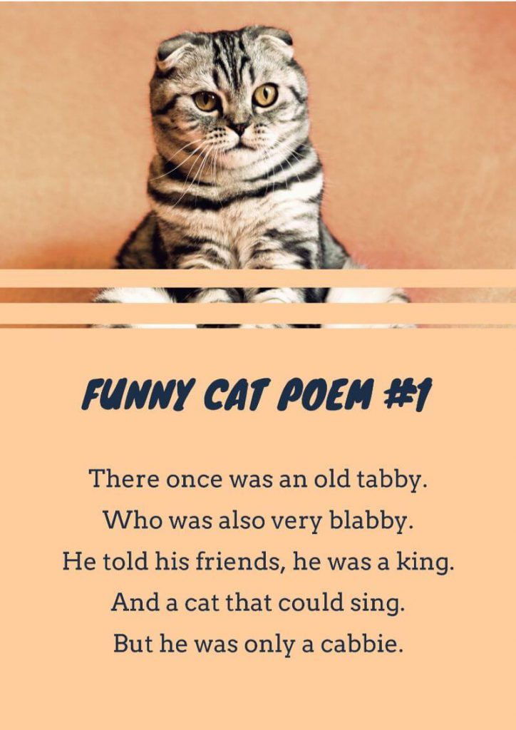 16+ Cat Poems For Kids To Read 🐈 Imagine Forest