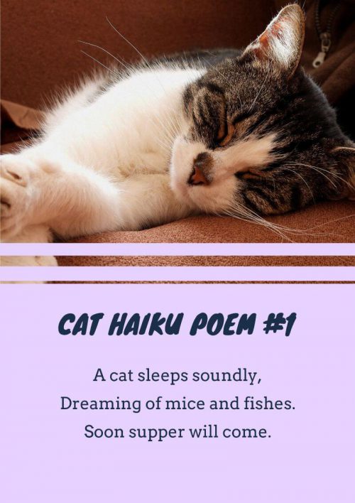 16+ Cat Poems For Kids To Read 🐈 Imagine Forest