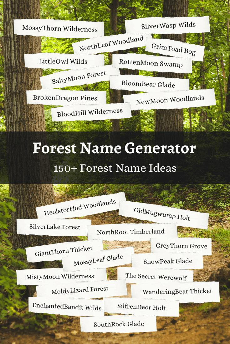 Forest Name Generator: 1,000+ Forest Name Ideas 🌲 | Imagine Forest