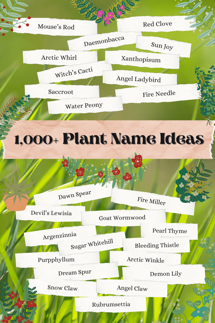 intellektuel kaustisk Spiritus Plant Name Generator: 1,000+ Fantasy Plant Name Ideas | Imagine Forest